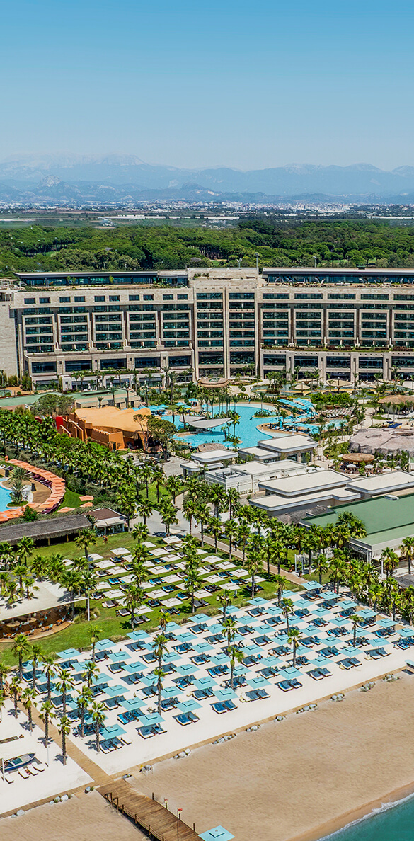 Regnum The Crown genel görünüm